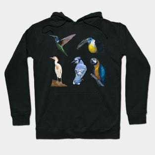 Five Bird Detailed Illustration Pack Hoodie